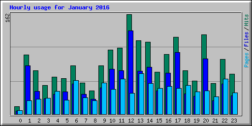 Hourly usage for January 2016